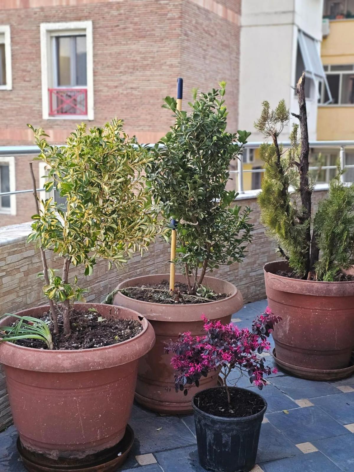 Main Apartment Tiranë Ngoại thất bức ảnh