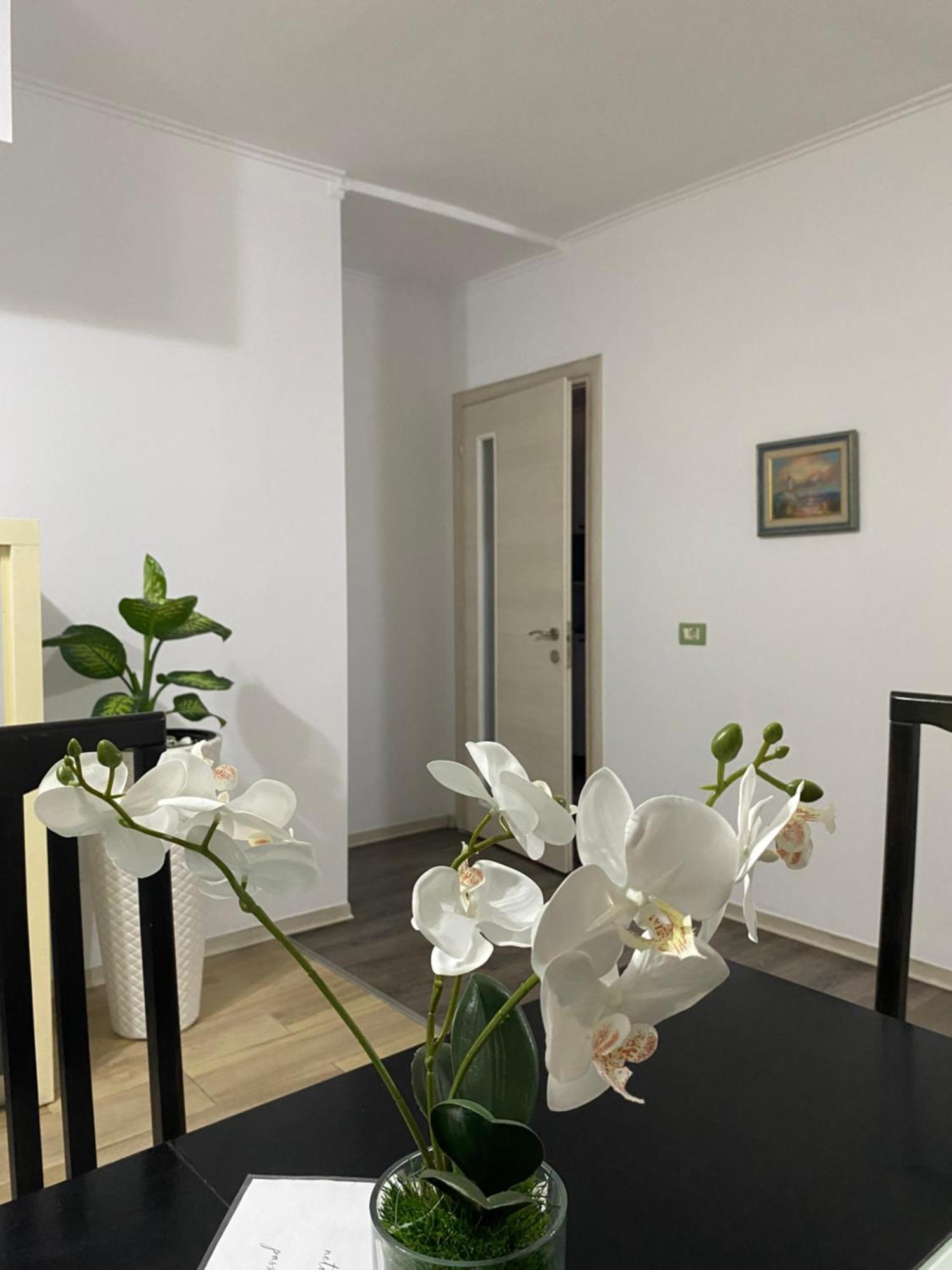 Main Apartment Tiranë Ngoại thất bức ảnh