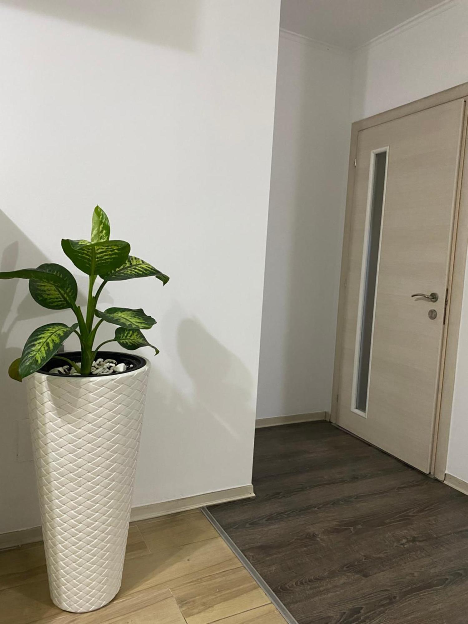 Main Apartment Tiranë Ngoại thất bức ảnh